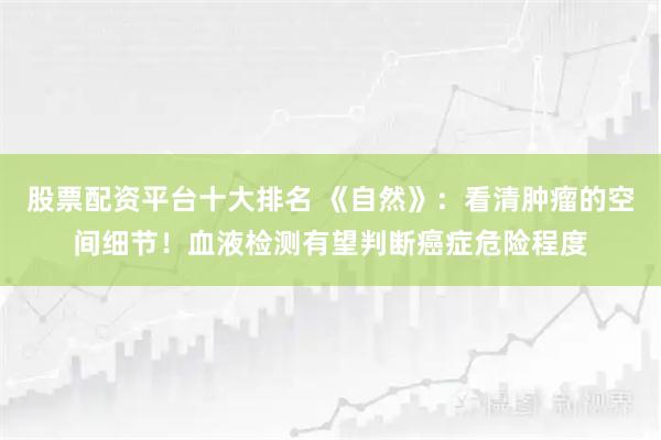 股票配资平台十大排名 《自然》：看清肿瘤的空间细节！血液检测有望判断癌症危险程度