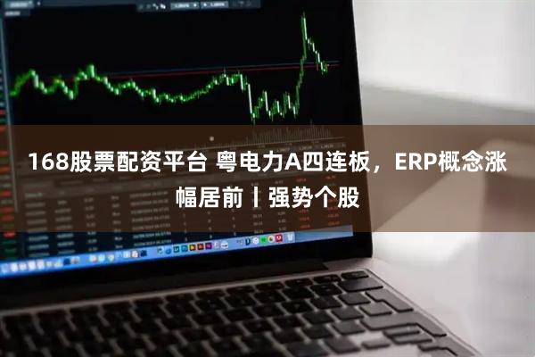 168股票配资平台 粤电力A四连板,ERP概念涨幅居前丨强势个股